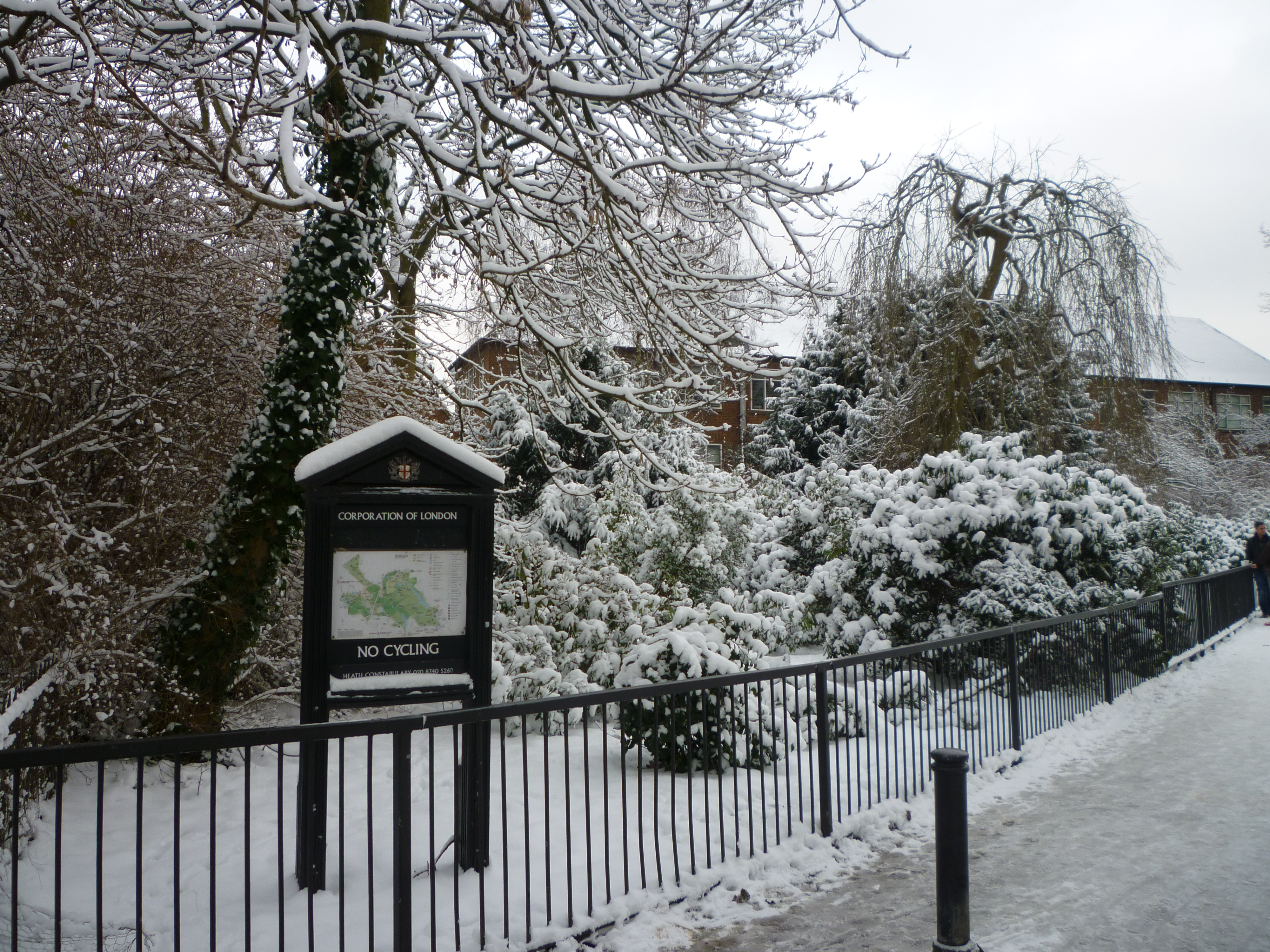Snowy London - Hampstead Heath1