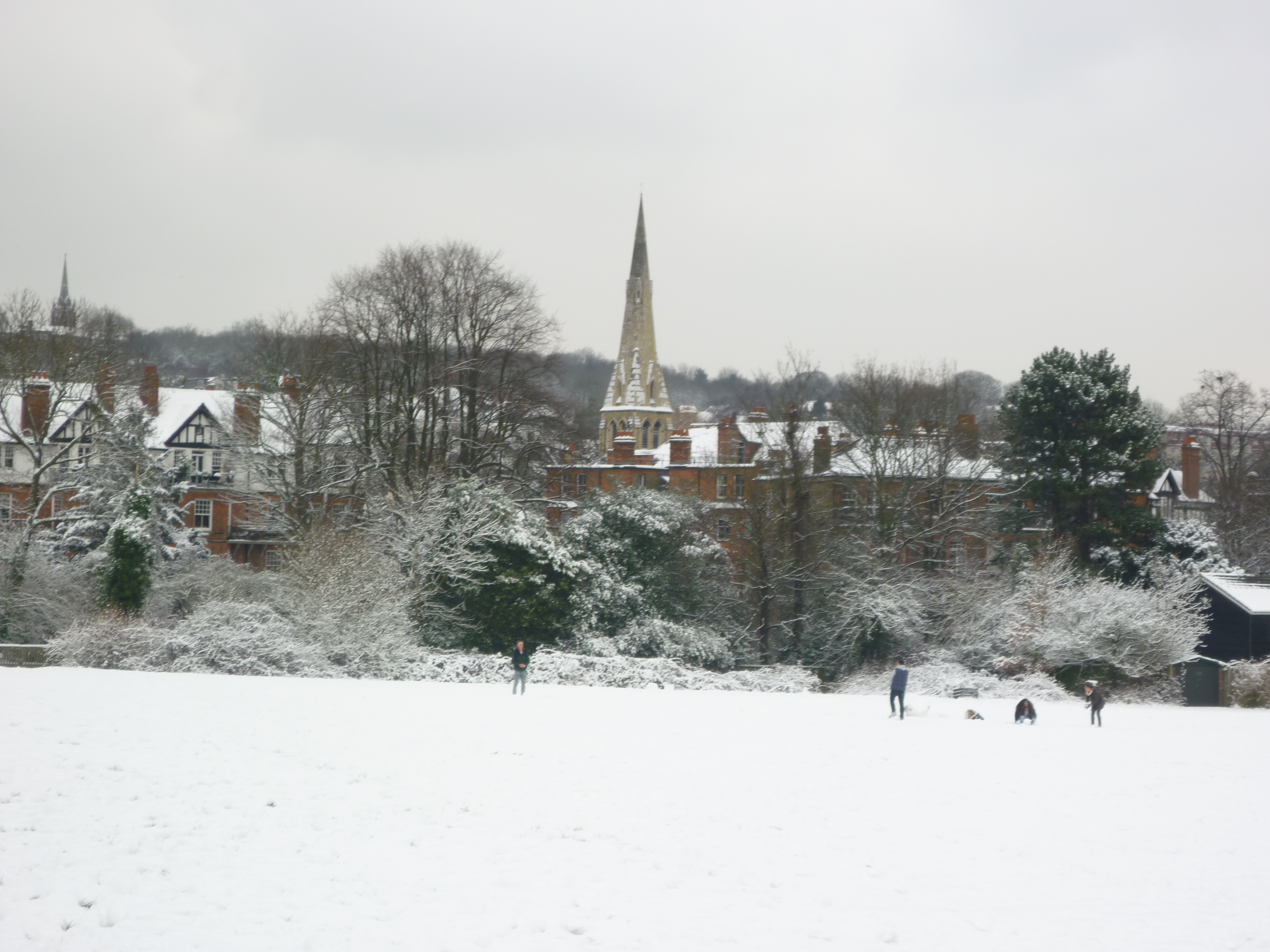 Snowy London - Hampstead Heath2