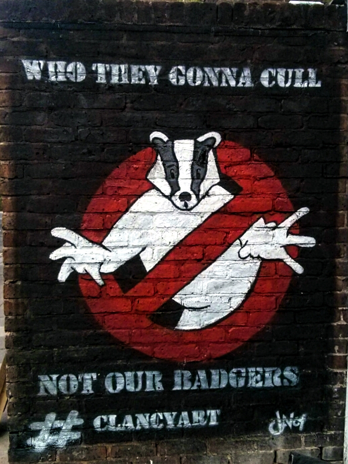 Picture Wednesday - Badger Culling